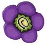 Small Purple Daisy